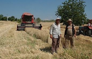 Hububat alım fiyatları açıklandı