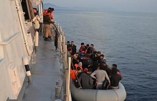 İzmir’de 113 kaçak göçmen yakalandı