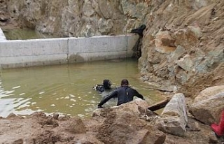 Köpeğini kurtarmak isterken boğuldu