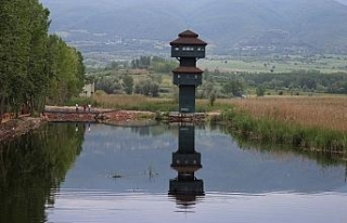 Kuş Cenneti doğa manzarası ile hayran bırakıyor