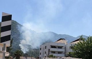 Marmaris’te orman yangını