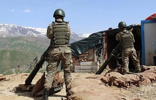 Mehmetçik Dağbaşı Tepe Üs Bölgesinde kuş uçurtmuyor