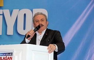 Mustafa Şentop’tan "27 Mayıs" açıklaması