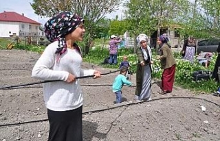 Organik çileğe kadın eli değdi