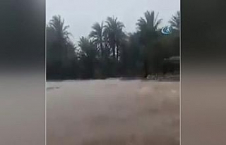 Sokotra Adası felaket bölgesi ilan edildi