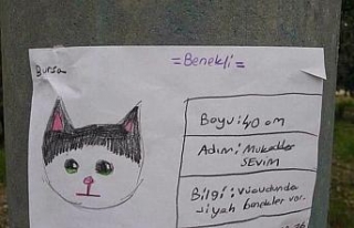 Sosyal medya’da fenomen olan kayıp kedi ’Benekli’...