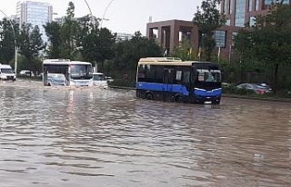 Valilik selin bilançosunu açıkladı: 1 ölü