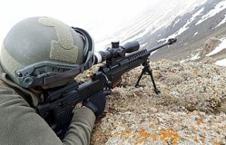 Van’da teröristlere ağır darbe
