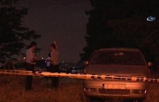 13 çalıntı otomobil İstanbul’da ormanlık alanda...