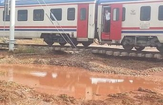 300 yolcuyu taşıyan tren yolda kaldı