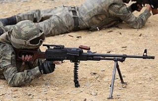 3 şehidin faili 2 terörist etkisiz hale getirildi