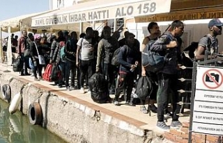43 kaçak göçmen yakalandı
