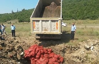 4 ton midye ele geçirildi: 20 gözaltı