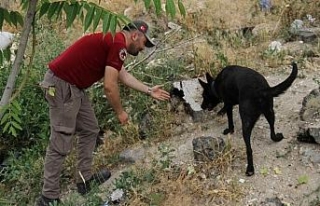 6 gündür kayıp olan Eylül hala bulunamadı