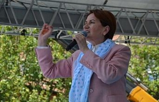 Akşener’den ’kayısı’ sözü