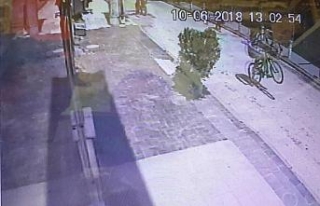 Bisikleti şov yaparak çaldılar