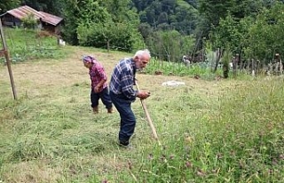 Bu köyün yaşlıları gençlere taş çıkartıyor