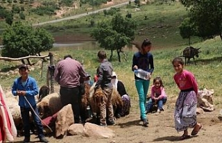 Dağlar teröristlerden temizlendi, yaylalara huzur...