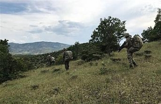 Diyarbakır’da PKK’ya bir darbe daha