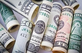 Doların yükseliş nedenleri