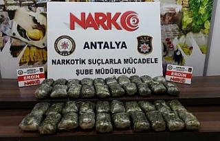 Durdurulan tırda 1 milyon liralık uyuşturucu çıktı