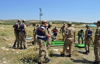 Düşen uçağın pilotu 27 kilometre uzaklıkta bulundu