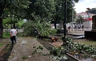 Düzce’de ortalık savaş alanına döndü