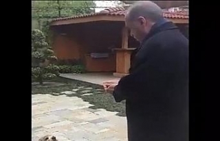 Erdoğan küçük köpeği böyle besledi