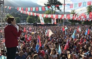 "Fındığı 15 lira açıklayacağız"