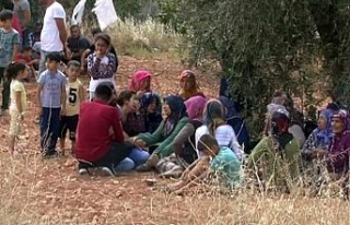 Gaziantep’te damat cinneti: 3 ölü, 1 yaralı
