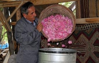 Gülün gülsuyu ve gülyağına giden zahmetli yolculuğu