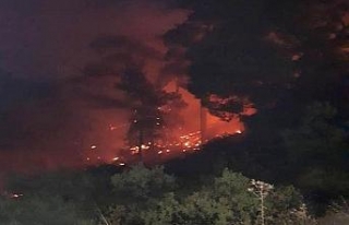 Güney Kıbrıs’ta çıkan yangın KKTC’yi alarma...
