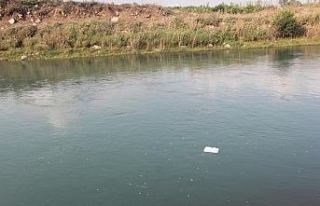 İki çocuktan biri sulama kanalında kayboldu