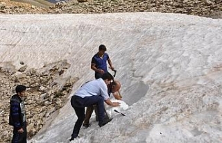 Kar için onlarca kilometre kat ediyorlar
