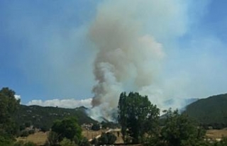 Kaş’ta orman yangını