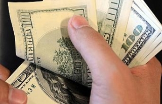 Mayısta en fazla dolar kazandırdı