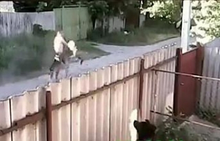 Pitbullar adama böyle saldırdı
