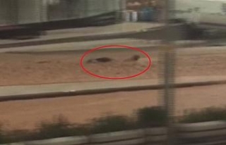 Sel suyunda böyle sürüklendi