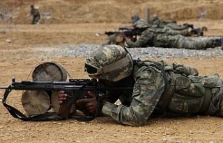 Siirt’te 2 terörist etkisiz hale getirildi