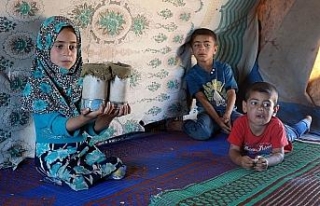 Suriyeli Maya tedavisi için Türkiye yolunda