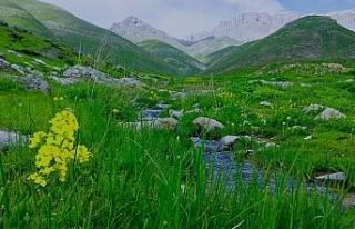 Terörden temizlendi, doğal güzelliği hayran bıraktı