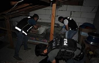 14 ilde 72 adrese eş zamanlı baskın !