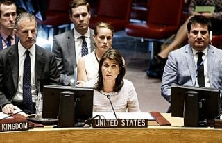 ABD’den Arap ülkelerine "Filistin" eleştirisi