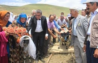 Ak koyun ile kara koça davul zurnalı düğün