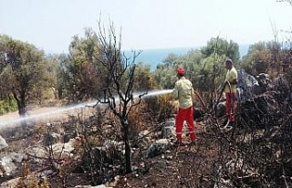 Antalya’da antik kent yakınında çıkan yangın...