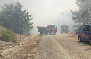 Antalya’da orman yangını