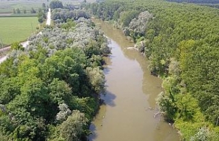 Atık sularla kirlenen Sakarya Nehri havadan görüntülendi