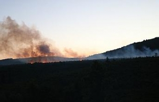 Aydos Ormanları’nda korkutan yangın
