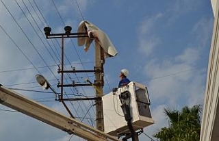 Balkondan uçan halı elektrik tellerine takıldı