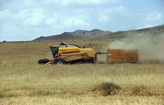 Biçerdöverler tarlaya girdi, hasat yüzleri güldürdü